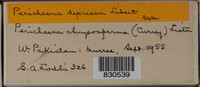 Image Associated With the Occurence